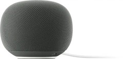 Google Home Speaker Smart Speaker Gemini Voice Assistant (Hazel)