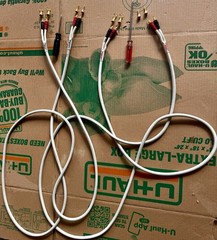 Monster Cable M Series MCX-2S Bi-Wire Speaker Cables.
