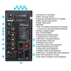 Portable Bluetooth Speaker Dual 10″ Woofers & Tweeter w/ Disco Light Mic Remote