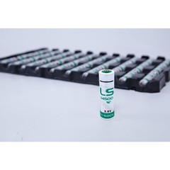 12X for LS 14500 LS14500 AA 3.6V Lithium Battery. US STOCK!