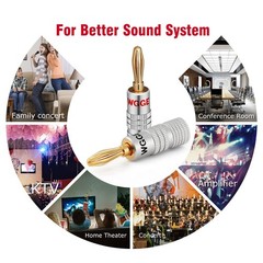 WG009 Banana Plugs Audio Jack Connector, 24k Gold Dual Screw Lock Speaker Con…