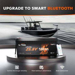 Litime 24V 100Ah Bluetooth 5.0 Low Temp LiFePO4 Lithium Battery For Solar Marine