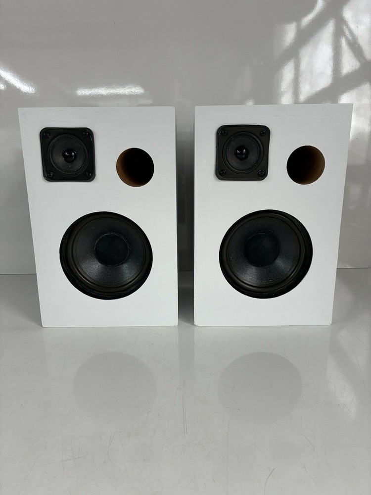 Bose Model 21 Main / Stereo Speaker White Custom Wood Cabinet Made In USA