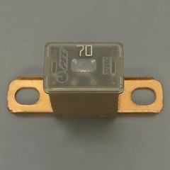 30A/40A/50A/60A/70A/80A/100A/120A Car Main Power Fuse Car Battery Fuse Generator