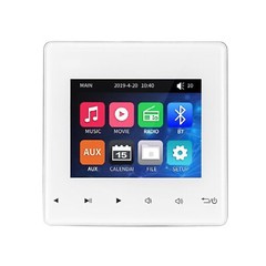 Mini Wall Amplifier Bluetooth Smart Sound System Theater Stereo Ceiling Speaker