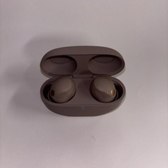 Sony WF-1000XM5 Wireless Noise Canceling Earbuds Bluetooth Tested