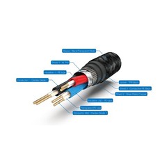 Pangea Audio True Balanced Interconnect Cable XLR to XLR Pair 1.0 Meter