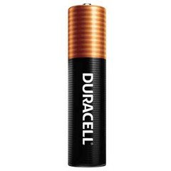 Duracell Coppertop Alkaline AAA Batteries 40 count