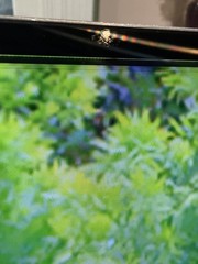 Samsung QN800A 65″ Neo QLED Smart TV 8K QN65QN800AFXZA – Minor Lines on Screen