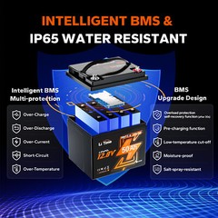 LiTime 12V 50Ah Bluetooth LiFePO4 Lithium Battery 50A BMS For RV Marine Camping