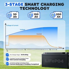 12V 50A Lithium Battery Charger 14.6V 50A Fast LiFePO4 Charger 0V Wake Up 12 …