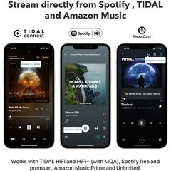 WiiM Pro Plus AirPlay 2 Receiver, Google Cast Audio, Multiroom Streamer – Black