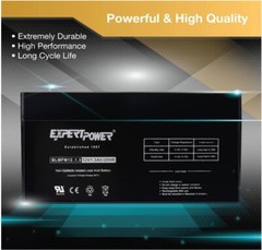 ExpertPower 12V 1.3Ah Replacement Battery for D1.3S