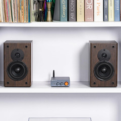 BT20A Pro Bluetooth 5.0 Amplifier, 300W X2 Wireless Amp, TPA3255 2 Channel Mini