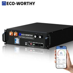 ECO-WORTHY 5.12kWh 48V 100AH Lithium Battery Server Rack UL1973&UL9540A CEC