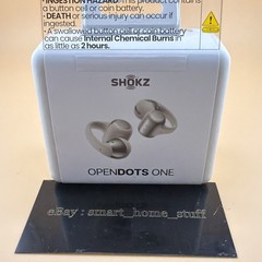 Shokz OpenDots ONE True Wireless Earbuds – Gray