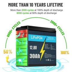 12V 30Ah LiFePO4 Rechargeable Lithium Battery BMS Deep cycles Fish Finder Boat