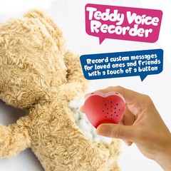 Inventiv 30-Second Voice Sound Recorder Modules For Toy Stuffed Teddy Bear