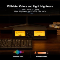 NEOHIPO ET30 Dual Analog VU Meter, 2-Way Amplifier/Speaker Audio Switcher Box