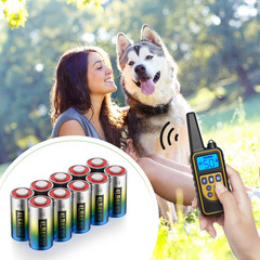 6 Volt Battery 4LR44 Dog Collar Batteries (10 Pack) 6V Alkaline Batteries 476A /