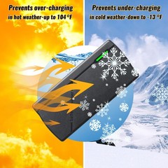 14.6V 10A LiFePO4 Battery Charger for 12V Lithium Iron Phosphate Batteries – …