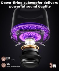 Bluetooth Speaker with HD Sound and Lights, Portable Wireless, Long-lasting b…