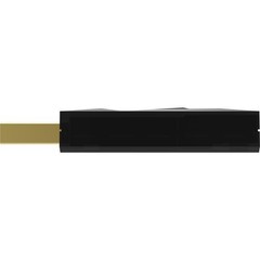 iFi audio iSilencer+ USB 3.0 Type-A Noise Filter