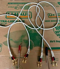 Monster Cable M Series MCX-2S Bi-Wire Speaker Cables.