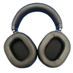 JVC HA-SW01 Wood Dome Hi-Res Headphones High-End Model Headband Wear