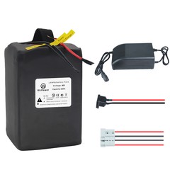 48V Lifepo4 Battery 20Ah 30Ah 35Ah Lithium for EBike Scooter 2000W with Charger