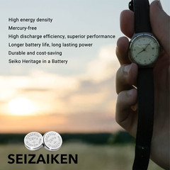 Seizaiken 391 SR1120W 1.55V 0%Hg Silver Oxide Watch Battery – Wholesale