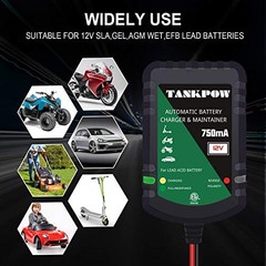 12V 0.75A Smart Battery Charger,Automatic Battery Charger&Battery dark green