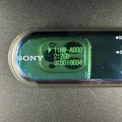 Sony NW-A608 Portable Audio Player Walkman 2GB Emerald Green Limited Edition