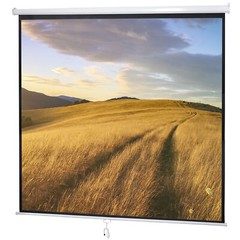 120” Projector Screen Projection Screen Manual Pull Down HD Screen 1:1 Format