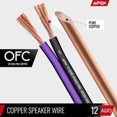 12 AWG Gauge Speaker Wire Cable (OFC) Stereo, Car or Home Theater (30 Feet)