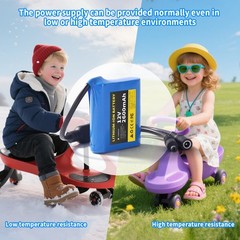 2600mAh DC 12V Portable Rechargeable Li-ion Battery Pack With Charger