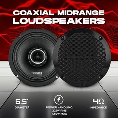 DS18 PRO-ZT6 2x 6.5″ Mid-Range Loudspeaker with Bullet Tweeter Water Resistant