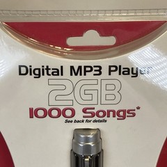 New Delstar Digital MP3 Player Voice Recorder 2GB USB Rechargeable