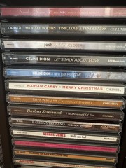 Hand Painted Hunt Scene CD Cabinet + 32 CDs (Mariah Carey, Santana,George Jones