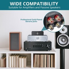 2 Way Amplifier Speaker Switch Selector Box with Banana Jacks