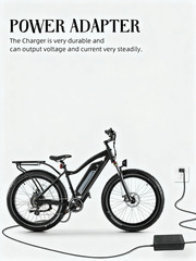 54.6V 2A Charger for 48V Li-ion Battery 13s