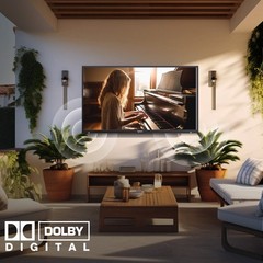 Sylvox 43in Outdoor TV Partial Sun Google TV QLED Dolby 1000nits IP55 Waterproof