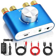 Portable Stereo Hi-Fi Digital Amp – Wireless Audio