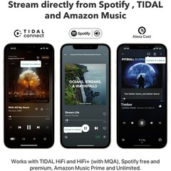 Pro AirPlay 2 Receiver, Google Cast Audio, WiFi Multiroom Streamer, Compatible