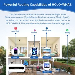 HOLOWHAS 8 Zone 8 Stream Multi-Room Amplifier (60Wx16) | Whole Home Audio
