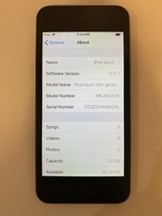 Apple iPod touch 6th Generation Space Gray (32GB)