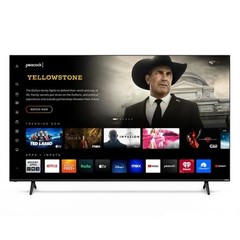 VIZIO 65″ Class 4K (2160p) Smart QLED TV (M65Q6-L4)