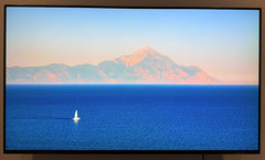 Sony XBR-55A8G BRAVIA 55″ 2160p (4K) UHD OLED Smart TV – Black *Few Dead Pixels