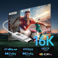 16K DisplayPort 2.1 Cable 3.3ft 16K@60Hz 8K@120Hz 4K@240Hz Gaming Monitor