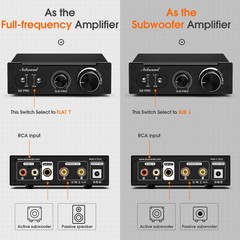 HiFi Amp Audio SUB Frequency Mono Channel Digital Amplifier Gain Control 300W
